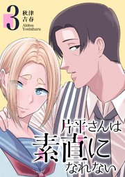片平さんは素直になれない（3）