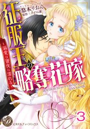 征服王の略奪花嫁～溺愛は蜜夜に濡れる～【分冊版】3