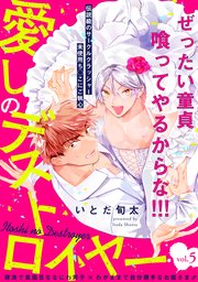 愛しのデストロイヤー 5巻