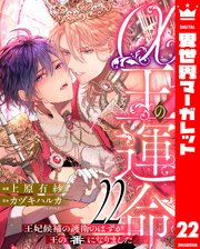α王の運命～王妃候補の護衛のはずが王の番になりました～