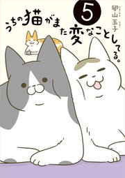 うちの猫がまた変なことしてる。5