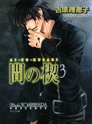 間の楔3
