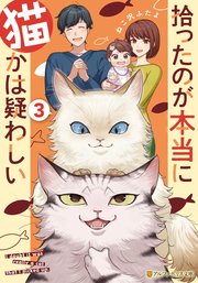 拾ったのが本当に猫かは疑わしい3