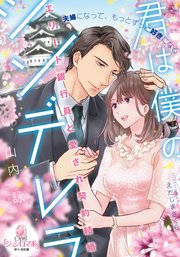 君は僕のシンデレラ エリート銀行員と愛され契約結婚