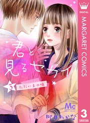 君と見るセカイ 3 ―ただいまの味―
