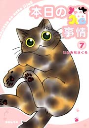 本日の猫事情 （7）
