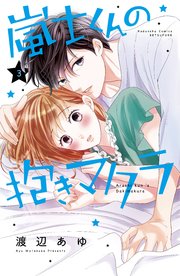 嵐士くんの抱きマクラ（3）