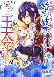 最大限こちらに有利な条件で婚約破棄させていただきますわ！そして、愛しの王太子様に嫁ぎます！【単話版】 9巻