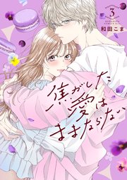 焦がした愛はままならない（3）