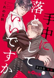 手中に落としていいですか 第11話 後編