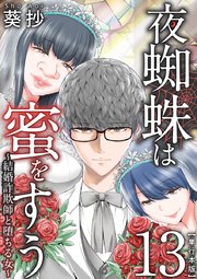 夜蜘蛛は蜜をすう～結婚詐欺師と堕ちる女～ 単行本版（13）