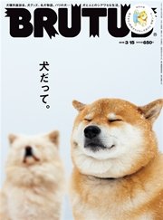 BRUTUS (ブルータス) 2016年 3月15日号 No.819