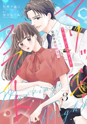 comic Berry’sマリッジ・フライト～天才パイロットと交際0日結婚事情～3巻