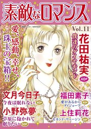 素敵なロマンス Vol.11