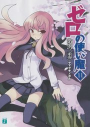 ゼロの使い魔　１１　追憶の二重奏