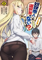奴隷商人しか選択肢がないですよ？ ～ハーレム？ なにそれおいしいの？～ 2