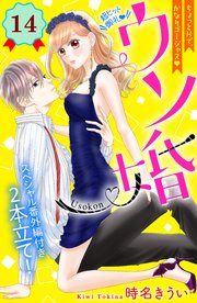 ウソ婚 分冊版（14）