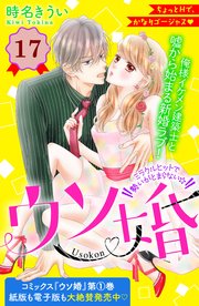 ウソ婚 分冊版（17）