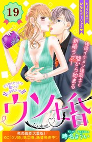 ウソ婚 分冊版（19）