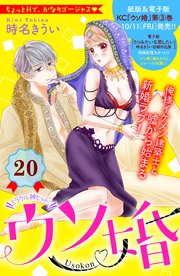 ウソ婚 分冊版（20）