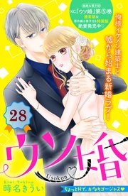 ウソ婚 分冊版（28）