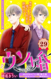 ウソ婚 分冊版（29）