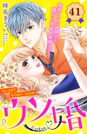ウソ婚 分冊版（41）