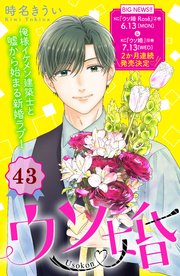 ウソ婚 分冊版（43）