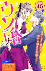 ウソ婚 分冊版（45）