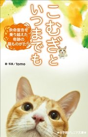 小学館ジュニア文庫 こむぎといつまでも ～余命宣告を乗り越えた奇跡の猫ものがたり～