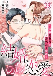 結婚、のち恋愛。～冷徹御曹司と身代わり結婚～29