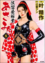 仕留屋稼業あさみ 8