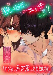 狭い場所でエッチしよ? ～リツくんと秘密の放課後 ～ 表紙