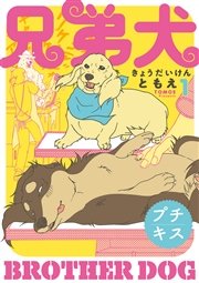 兄弟犬 プチキス