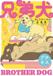 兄弟犬 プチキス（7）