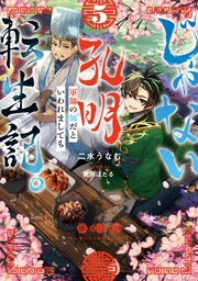 じゃない孔明転生記。軍師の師だといわれましても