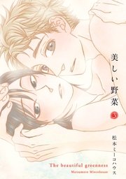 美しい野菜（3）