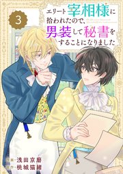 Berry’sFantasyエリート宰相様に拾われたので、男装して秘書をすることになりました3巻