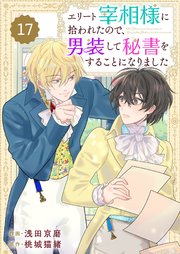 Berry’sFantasyエリート宰相様に拾われたので、男装して秘書をすることになりました17巻