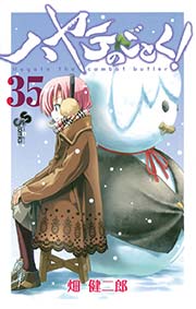 ハヤテのごとく！ 35