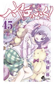 ハヤテのごとく！ 45