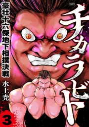 チカラビト　豪壮十六傑地下相撲決戦 ： 3