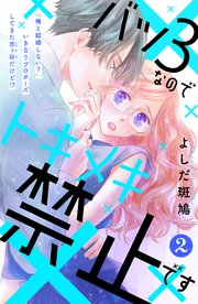 バツ3なのでトキメキ禁止です ［comic tint］ 分冊版（2）