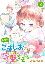 うちのごましおさんは完璧すぎる【分冊版】 3