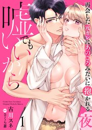 嘘でもいいから～再会した元カレにあのころみたいに抱かれる夜～