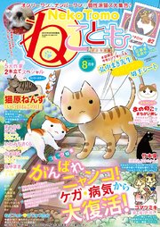 ねこともvol.38