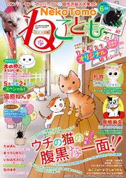 ねこともvol.49