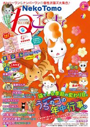 ねこともvol.60