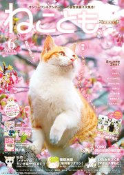 ねこともvol.85