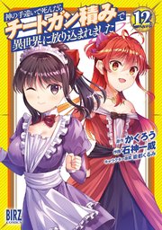 神の手違いで死んだらチートガン積みで異世界に放り込まれました (12) 【電子限定おまけ付き】
